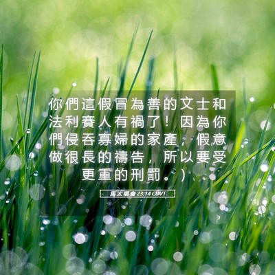 Picture 05 - 馬 太 福 音 23:14 CUVT - 你 們 這 假 冒 為 善 的 文 士 和 法 - Bible Verse Picture