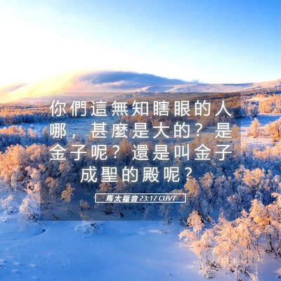 Picture 05 - 馬 太 福 音 23:17 CUVT - 你 們 這 無 知 瞎 眼 的 人 哪 ， 甚 - Bible Verse Picture