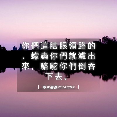 Picture 05 - 馬 太 福 音 23:24 CUVT - 你 們 這 瞎 眼 領 路 的 ， 蠓 蟲 你 - Bible Verse Picture