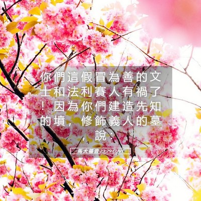 Picture 05 - 馬 太 福 音 23:29 CUVT - 你 們 這 假 冒 為 善 的 文 士 和 法 - Bible Verse Picture
