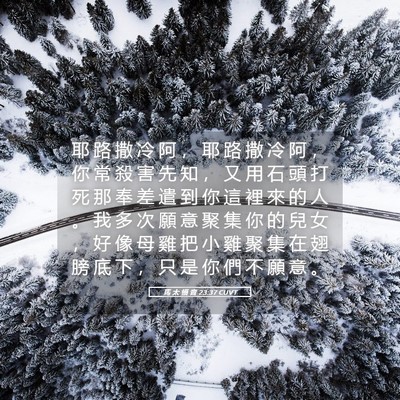 Picture 05 - 馬 太 福 音 23:37 CUVT - 耶 路 撒 冷 阿 ， 耶 路 撒 冷 阿 ， - Bible Verse Picture