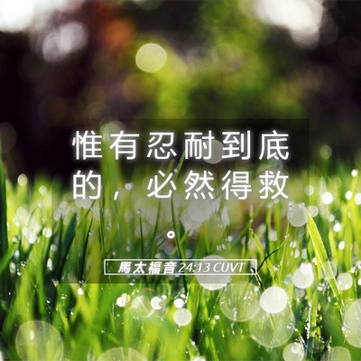 Picture 05 - 馬 太 福 音 24:13 CUVT - 惟 有 忍 耐 到 底 的 ， 必 然 得 救 - Bible Verse Picture