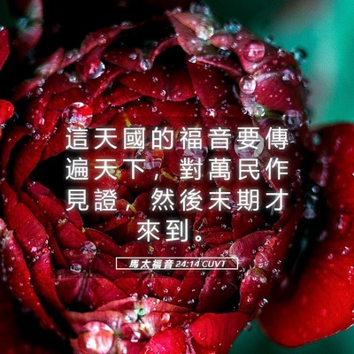 Picture 05 - 馬 太 福 音 24:14 CUVT - 這 天 國 的 福 音 要 傳 遍 天 下 ， - Bible Verse Picture