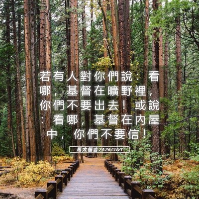 Picture 05 - 馬 太 福 音 24:26 CUVT - 若 有 人 對 你 們 說 ： 看 哪 ， 基 - Bible Verse Picture