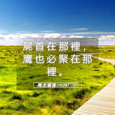 Picture 05 - 馬 太 福 音 24:28 CUVT - 屍 首 在 那 裡 ， 鷹 也 必 聚 在 那 - Bible Verse Picture