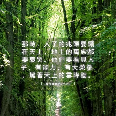 Picture 05 - 馬 太 福 音 24:30 CUVT - 那 時 ， 人 子 的 兆 頭 要 顯 在 天 - Bible Verse Picture