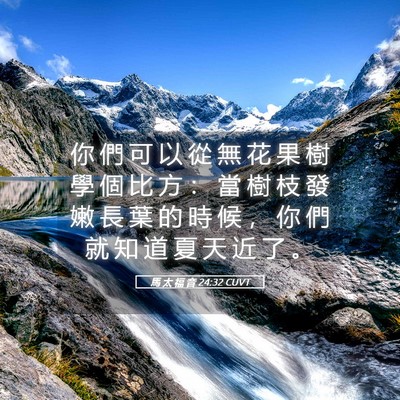 Picture 05 - 馬 太 福 音 24:32 CUVT - 你 們 可 以 從 無 花 果 樹 學 個 比 - Bible Verse Picture