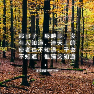 Picture 05 - 馬 太 福 音 24:36 CUVT - 那 日 子 ， 那 時 辰 ， 沒 有 人 知 - Bible Verse Picture