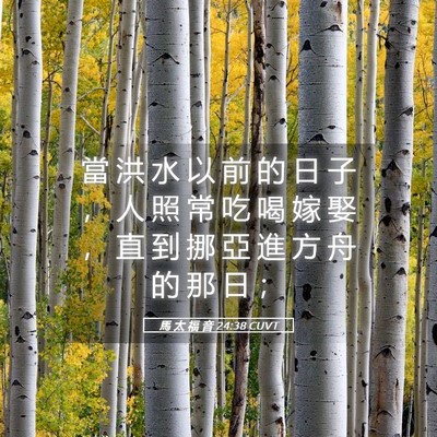 Picture 05 - 馬 太 福 音 24:38 CUVT - 當 洪 水 以 前 的 日 子 ， 人 照 常 - Bible Verse Picture