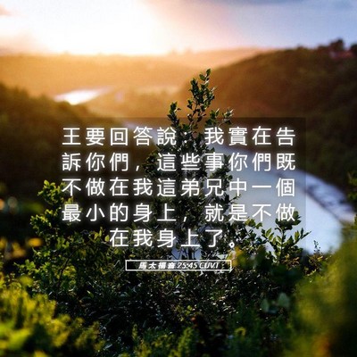 Picture 05 - 馬 太 福 音 25:45 CUVT - 王 要 回 答 說 ： 我 實 在 告 訴 你 - Bible Verse Picture