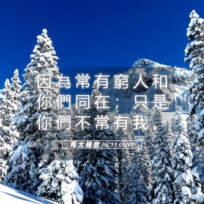 Picture 05 - 馬 太 福 音 26:11 CUVT - 因 為 常 有 窮 人 和 你 們 同 在 ； - Bible Verse Picture
