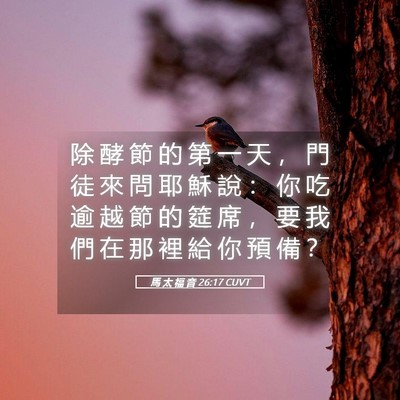 Picture 05 - 馬 太 福 音 26:17 CUVT - 除 酵 節 的 第 一 天 ， 門 徒 來 問 - Bible Verse Picture