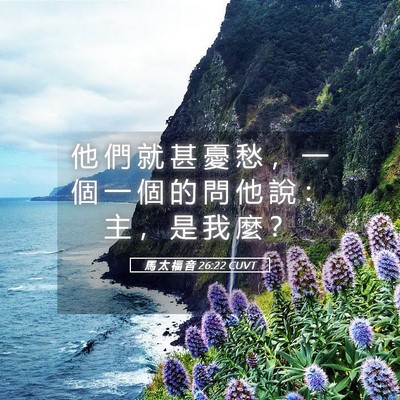 Picture 05 - 馬 太 福 音 26:22 CUVT - 他 們 就 甚 憂 愁 ， 一 個 一 個 的 - Bible Verse Picture