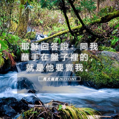Picture 05 - 馬 太 福 音 26:23 CUVT - 耶 穌 回 答 說 ： 同 我 蘸 手 在 盤 - Bible Verse Picture