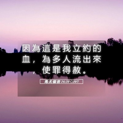 Picture 05 - 馬 太 福 音 26:28 CUVT - 因 為 這 是 我 立 約 的 血 ， 為 多 - Bible Verse Picture