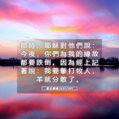 Picture 05 - 馬 太 福 音 26:31 CUVT - 那 時 ， 耶 穌 對 他 們 說 ： 今 夜 - Bible Verse Picture