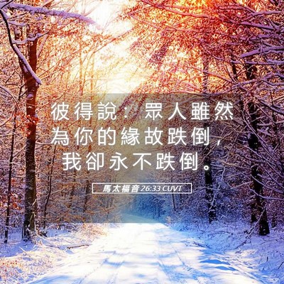 Picture 05 - 馬 太 福 音 26:33 CUVT - 彼 得 說 ： 眾 人 雖 然 為 你 的 緣 - Bible Verse Picture