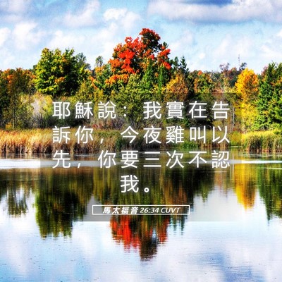 Picture 05 - 馬 太 福 音 26:34 CUVT - 耶 穌 說 ： 我 實 在 告 訴 你 ， 今 - Bible Verse Picture