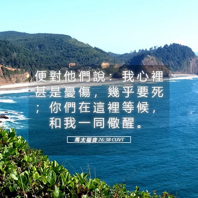 Picture 05 - 馬 太 福 音 26:38 CUVT - 便 對 他 們 說 ： 我 心 裡 甚 是 憂 - Bible Verse Picture