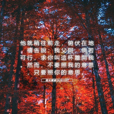 Picture 05 - 馬 太 福 音 26:39 CUVT - 他 就 稍 往 前 走 ， 俯 伏 在 地 ， - Bible Verse Picture