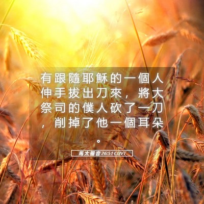Picture 05 - 馬 太 福 音 26:51 CUVT - 有 跟 隨 耶 穌 的 一 個 人 伸 手 拔 - Bible Verse Picture