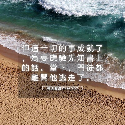 Picture 05 - 馬 太 福 音 26:56 CUVT - 但 這 一 切 的 事 成 就 了 ， 為 要 - Bible Verse Picture