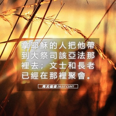 Picture 05 - 馬 太 福 音 26:57 CUVT - 拿 耶 穌 的 人 把 他 帶 到 大 祭 司 - Bible Verse Picture