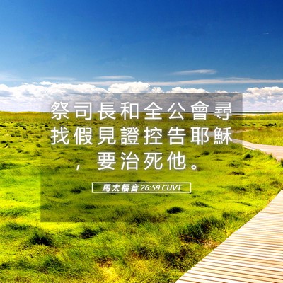 Picture 05 - 馬 太 福 音 26:59 CUVT - 祭 司 長 和 全 公 會 尋 找 假 見 證 - Bible Verse Picture