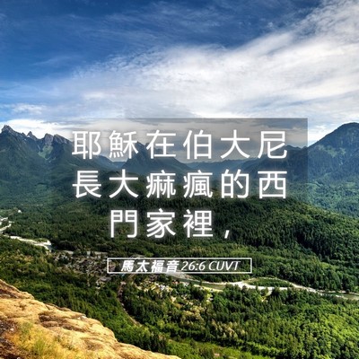 Picture 05 - 馬 太 福 音 26:6 CUVT - 耶 穌 在 伯 大 尼 長 大 痲 瘋 的 西 - Bible Verse Picture