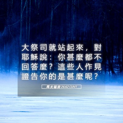 Picture 05 - 馬 太 福 音 26:62 CUVT - 大 祭 司 就 站 起 來 ， 對 耶 穌 說 - Bible Verse Picture