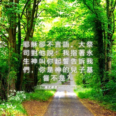 Picture 05 - 馬 太 福 音 26:63 CUVT - 耶 穌 卻 不 言 語 。 大 祭 司 對 他 - Bible Verse Picture