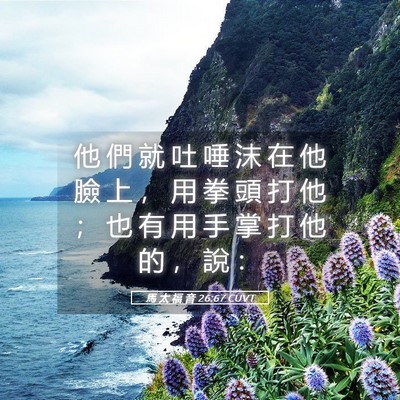 Picture 05 - 馬 太 福 音 26:67 CUVT - 他 們 就 吐 唾 沫 在 他 臉 上 ， 用 - Bible Verse Picture