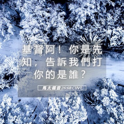 Picture 05 - 馬 太 福 音 26:68 CUVT - 基 督 阿 ！ 你 是 先 知 ， 告 訴 我 - Bible Verse Picture