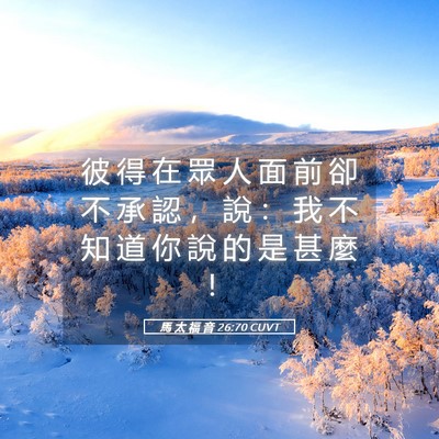 Picture 05 - 馬 太 福 音 26:70 CUVT - 彼 得 在 眾 人 面 前 卻 不 承 認 ， - Bible Verse Picture