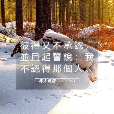Picture 05 - 馬 太 福 音 26:72 CUVT - 彼 得 又 不 承 認 ， 並 且 起 誓 說 - Bible Verse Picture