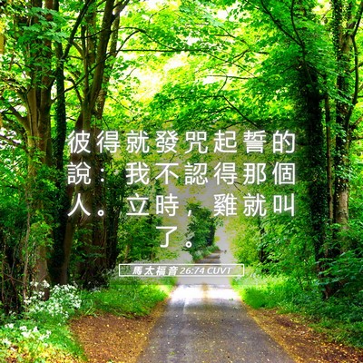 Picture 05 - 馬 太 福 音 26:74 CUVT - 彼 得 就 發 咒 起 誓 的 說 ： 我 不 - Bible Verse Picture