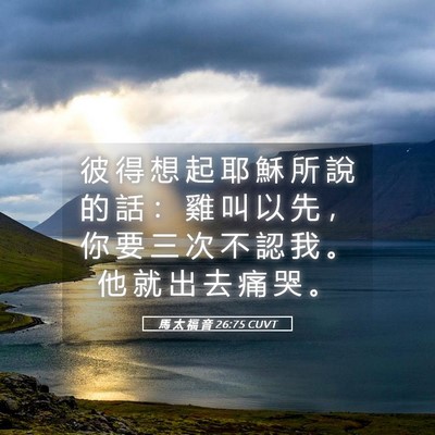 Picture 05 - 馬 太 福 音 26:75 CUVT - 彼 得 想 起 耶 穌 所 說 的 話 ： 雞 - Bible Verse Picture