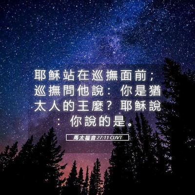 Picture 05 - 馬 太 福 音 27:11 CUVT - 耶 穌 站 在 巡 撫 面 前 ； 巡 撫 問 - Bible Verse Picture