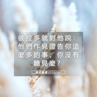 Picture 05 - 馬 太 福 音 27:13 CUVT - 彼 拉 多 就 對 他 說 ： 他 們 作 見 - Bible Verse Picture