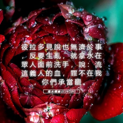 Picture 05 - 馬 太 福 音 27:24 CUVT - 彼 拉 多 見 說 也 無 濟 於 事 ， 反 - Bible Verse Picture