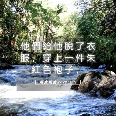 Picture 05 - 馬 太 福 音 27:28 CUVT - 他 們 給 他 脫 了 衣 服 ， 穿 上 一 - Bible Verse Picture