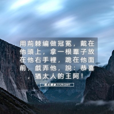 Picture 05 - 馬 太 福 音 27:29 CUVT - 用 荊 棘 編 做 冠 冕 ， 戴 在 他 頭 - Bible Verse Picture