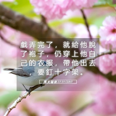 Picture 05 - 馬 太 福 音 27:31 CUVT - 戲 弄 完 了 ， 就 給 他 脫 了 袍 子 - Bible Verse Picture