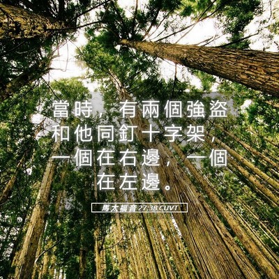 Picture 05 - 馬 太 福 音 27:38 CUVT - 當 時 ， 有 兩 個 強 盜 和 他 同 釘 - Bible Verse Picture