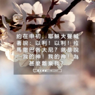 Picture 05 - 馬 太 福 音 27:46 CUVT - 約 在 申 初 ， 耶 穌 大 聲 喊 著 說 - Bible Verse Picture