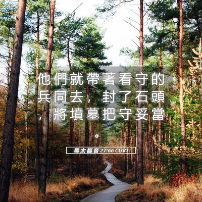 Picture 05 - 馬 太 福 音 27:66 CUVT - 他 們 就 帶 著 看 守 的 兵 同 去 ， - Bible Verse Picture
