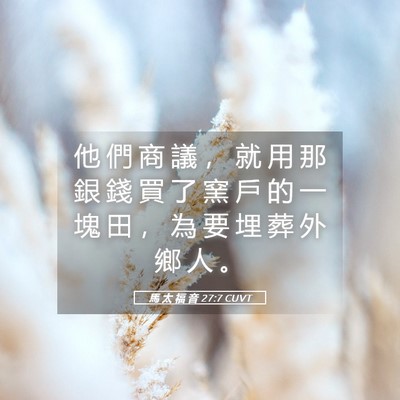 Picture 05 - 馬 太 福 音 27:7 CUVT - 他 們 商 議 ， 就 用 那 銀 錢 買 了 - Bible Verse Picture