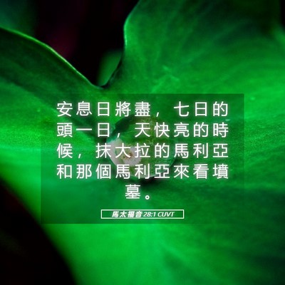 Picture 05 - 馬 太 福 音 28:1 CUVT - 安 息 日 將 盡 ， 七 日 的 頭 一 日 - Bible Verse Picture