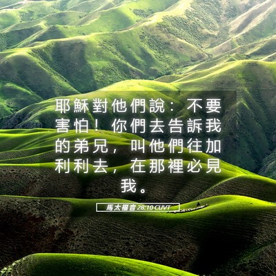 Picture 05 - 馬 太 福 音 28:10 CUVT - 耶 穌 對 他 們 說 ： 不 要 害 怕 ！ - Bible Verse Picture