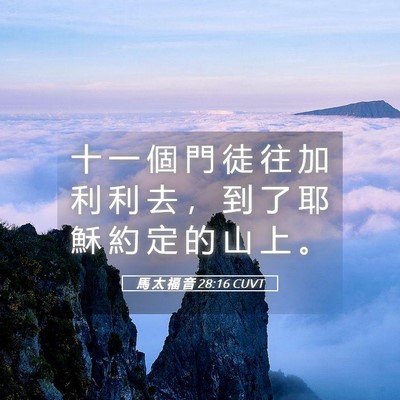 Picture 05 - 馬 太 福 音 28:16 CUVT - 十 一 個 門 徒 往 加 利 利 去 ， 到 - Bible Verse Picture